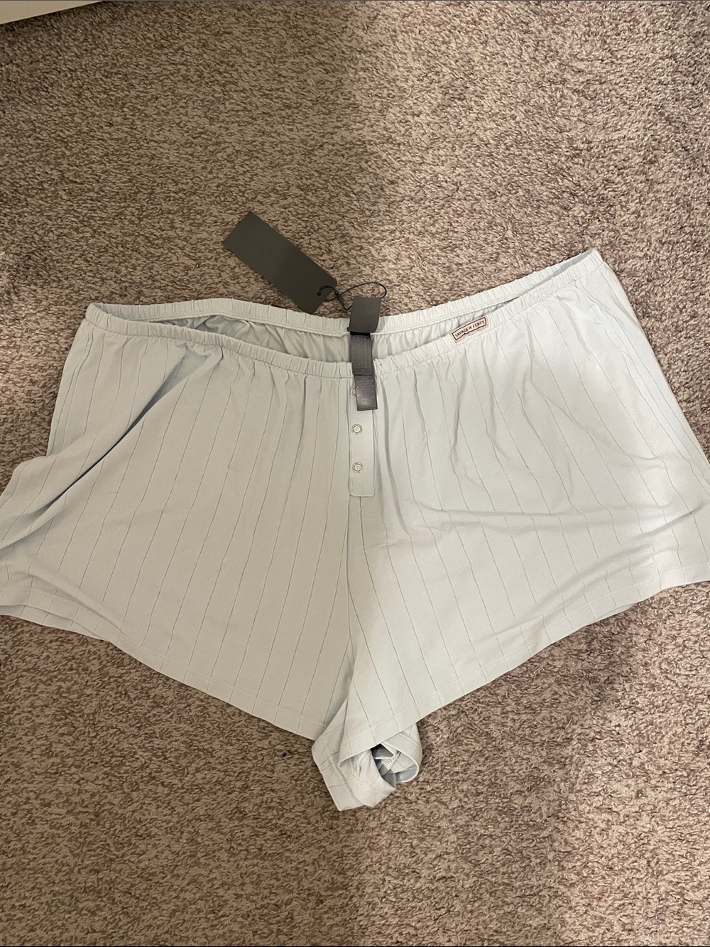 Fenty x savage Light Blue Women's Lounge Sleep shorts 3x nwt